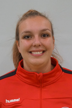 Dijk